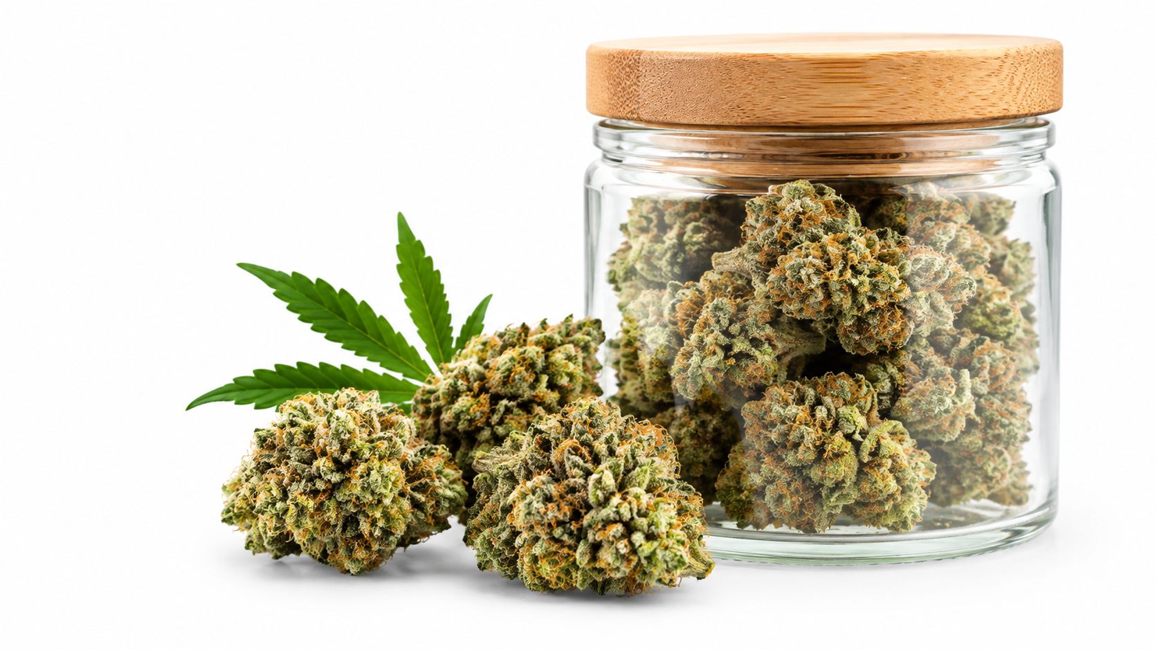 Ein Glas gefüllt mit getrockneten Cannabisblüten und einem grünen Hanfblatt auf einem hellen, weißen Hintergrund.