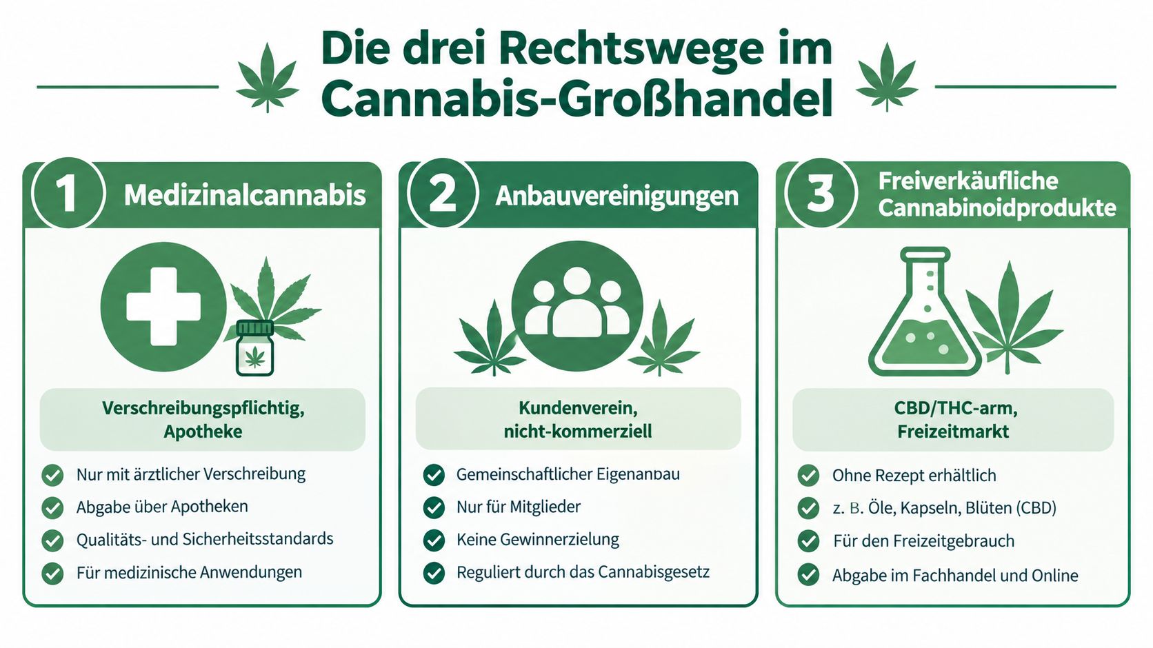 Infografik über die drei rechtlichen Wege für den Cannabis-Großhandel, unterteilt in Medizinalcannabis, Anbauvereinigungen und freiverkäufliche Cannabinoidprodukte.