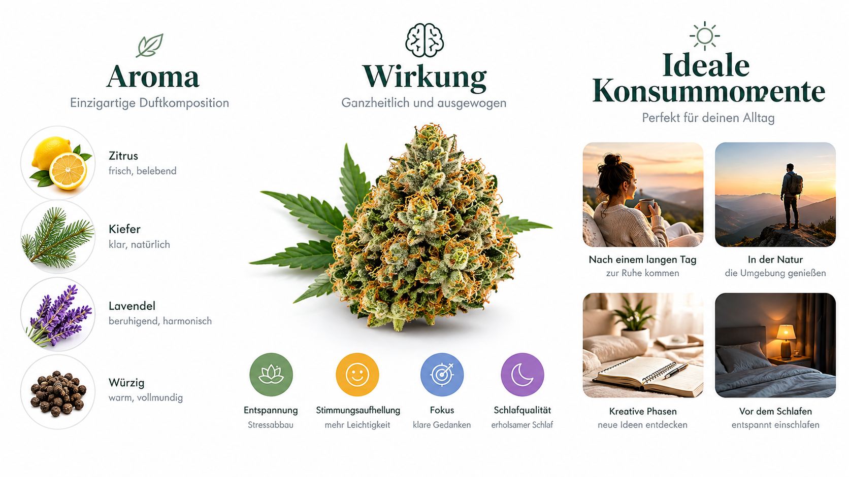 Eine Infografik über die Cannabissorte Lemon Power Haze mit Details zu Aroma, Wirkung und idealen Konsummomenten.