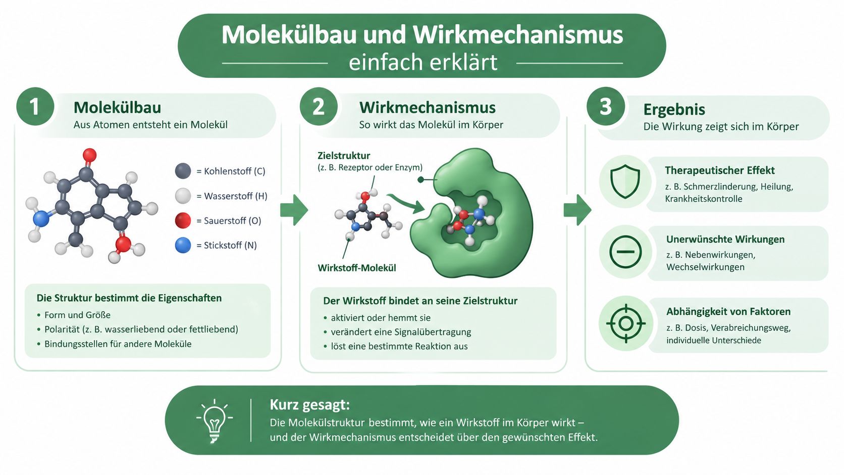 Eine Infografik erklärt den molekularen Aufbau, den Wirkmechanismus und das medizinische Ergebnis eines Wirkstoffs im menschlichen Körper.
