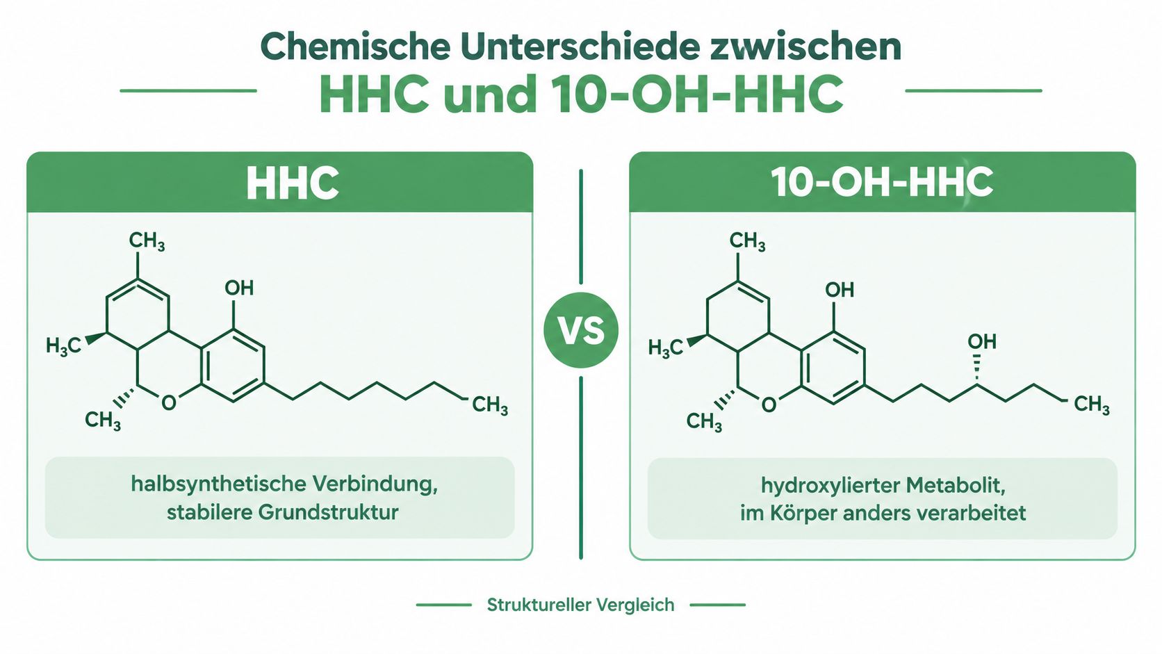 Vergleich der chemischen Strukturen und Eigenschaften von HHC und dem hydroxylierten Metaboliten 10-OH-HHC in einer Grafik.