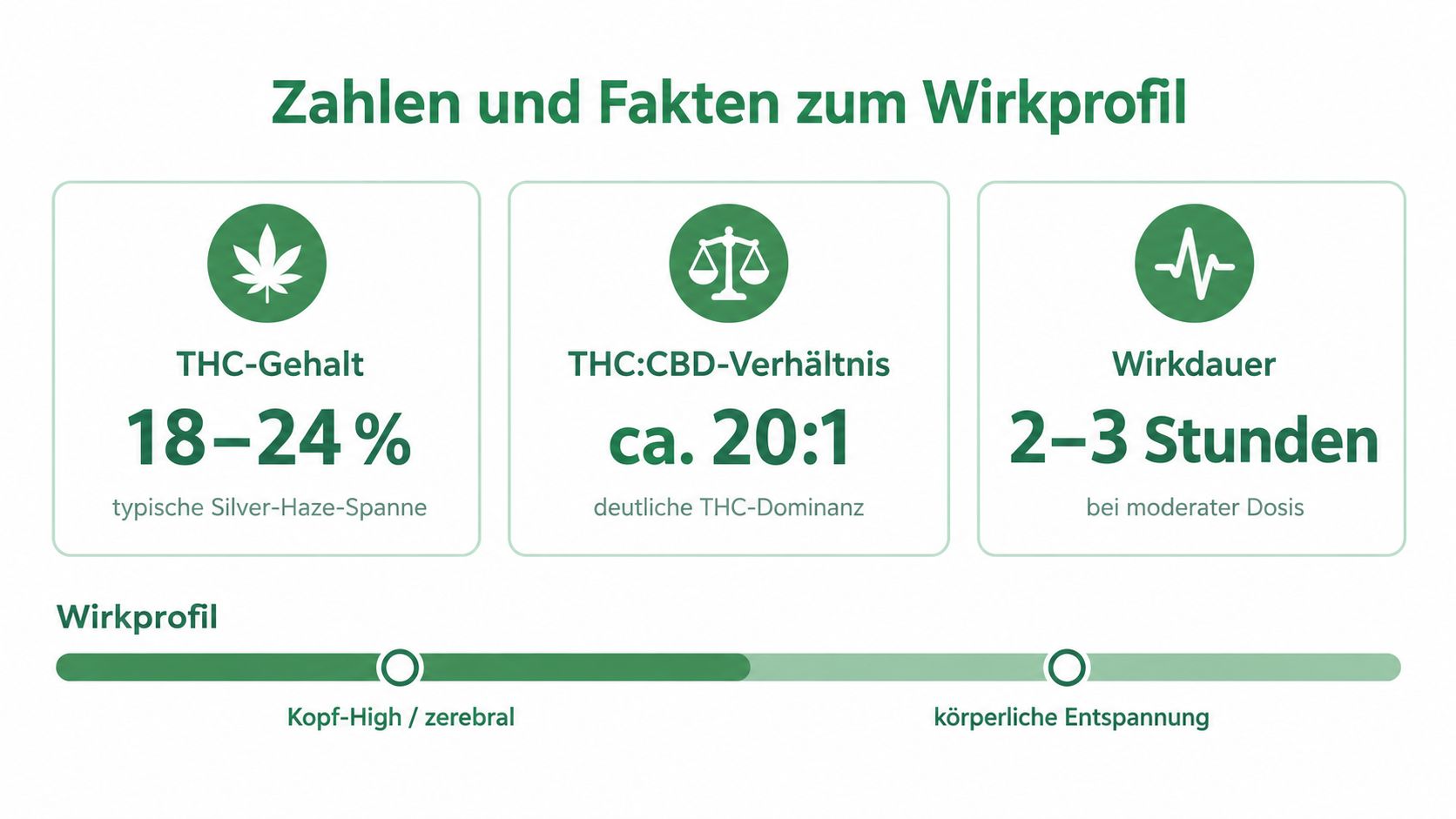Infografik zum Wirkprofil von Silver Haze mit Angaben zu THC-Gehalt, CBD-Verhältnis, Wirkungsdauer und der körperlichen Wirkung.