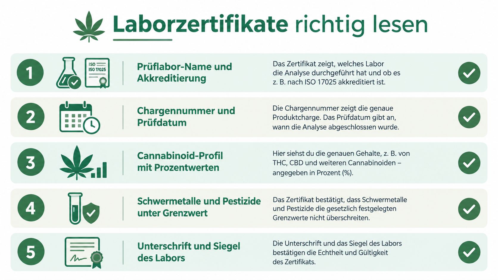 Eine grafische Übersicht in fünf Schritten erklärt, wie man Laborzertifikate für Cannabisprodukte richtig liest und versteht.