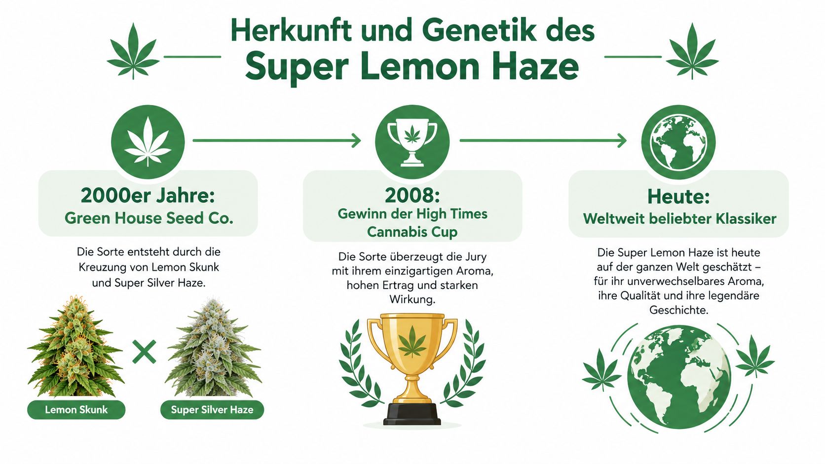 Eine Infografik über die Herkunft, Genetik und Auszeichnungen der Cannabissorte Super Lemon Haze im Laufe der Zeit.