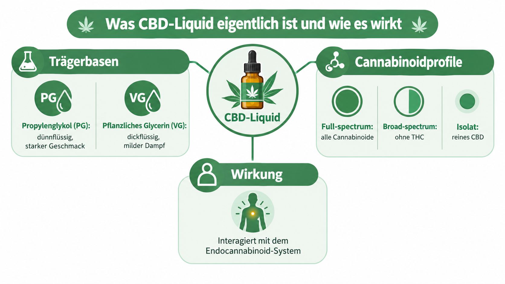 Eine informative Infografik erklärt die Zusammensetzung, Cannabinoidprofile und die Wirkungsweise von CBD-Liquid im menschlichen Körper.