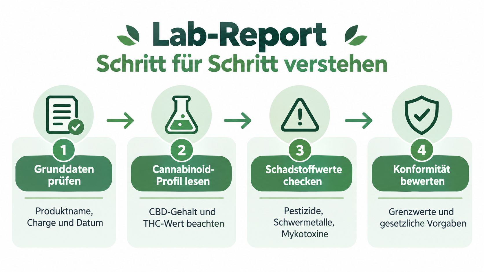 Eine Infografik mit vier Schritten zur einfachen Erklärung eines CBD-Lab-Reports für mehr Produktsicherheit und Transparenz.