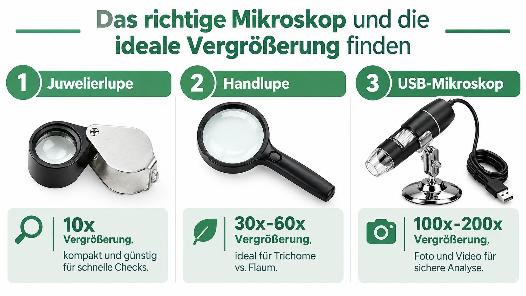 Eine Infografik zur Wahl des richtigen Mikroskops für die Analyse von Cannabis, inklusive Empfehlungen für verschiedene Vergrösserungsstufen.