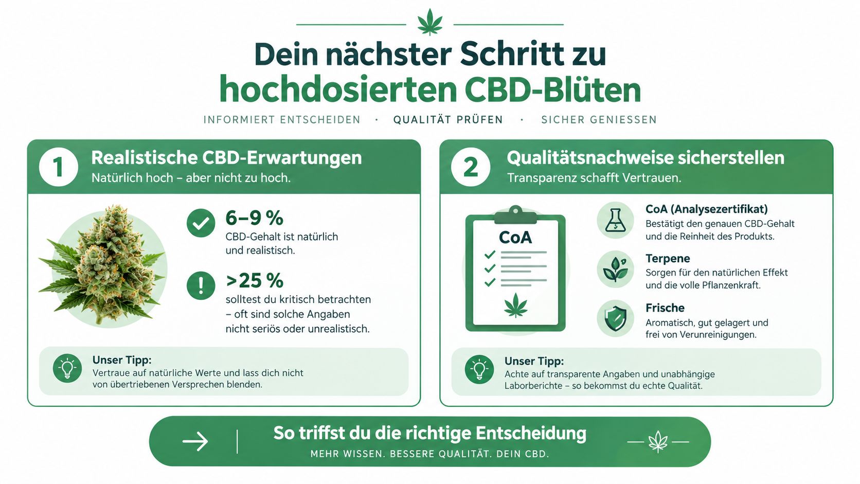 Eine Infografik erklärt, worauf man beim Kauf von hochwertigen, natürlich hochdosierten CBD-Blüten achten sollte.