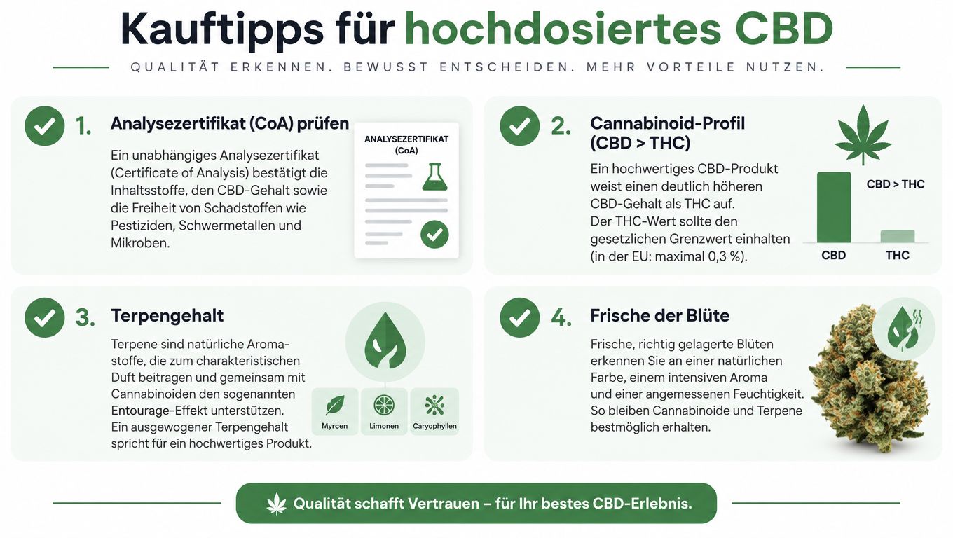 Infografik mit vier Tipps zum Kauf von hochwertigem, hochdosiertem CBD unter Berücksichtigung von Qualität und Sicherheit.