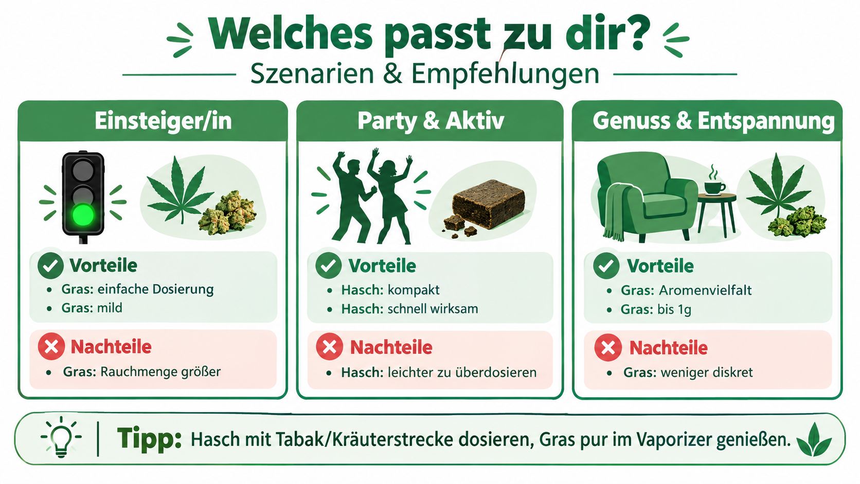 Infografik zum Vergleich von Haschisch und Gras für verschiedene Konsumszenarien wie Einsteiger, Partys oder Entspannung.