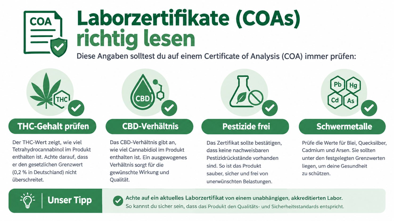Eine Infografik zur Anleitung, wie man Laborzertifikate für CBD-Produkte korrekt liest und wichtige Sicherheitskriterien wie Inhaltsstoffe prüft.
