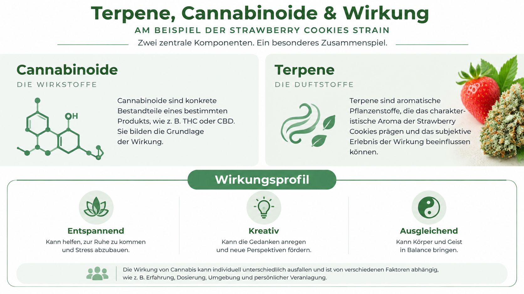 Infografik über Cannabinoide, Terpene und die Wirkung der Strawberry Cookies Cannabissorte auf Körper und Geist.