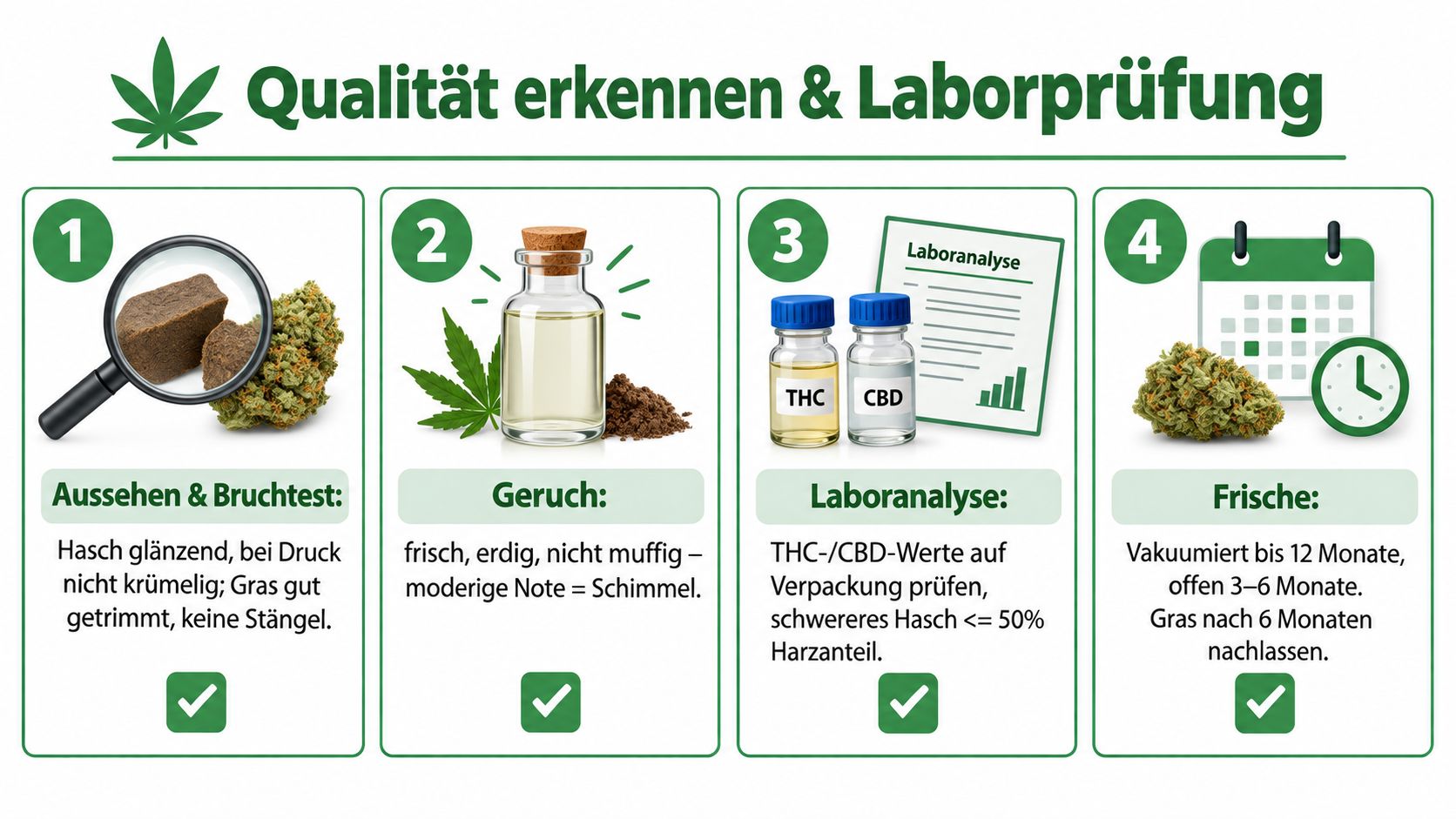 Eine Infografik mit vier Schritten zur Qualitätsprüfung von Cannabisprodukten wie Haschisch und Marihuana für Verbraucher.