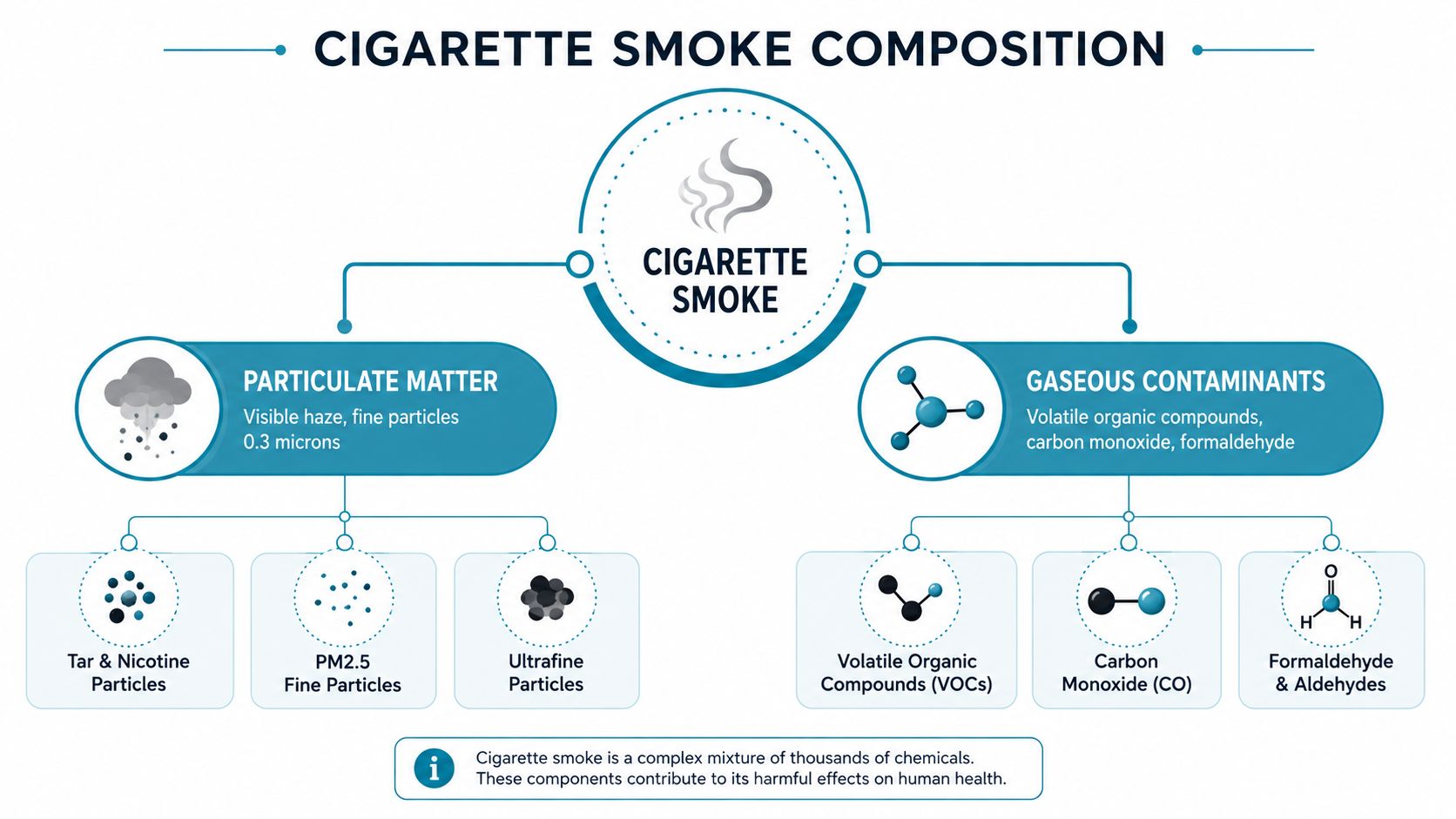 A diagram illustrating the components of cigarette smoke, including particulate matter and gaseous contaminants with their examples.