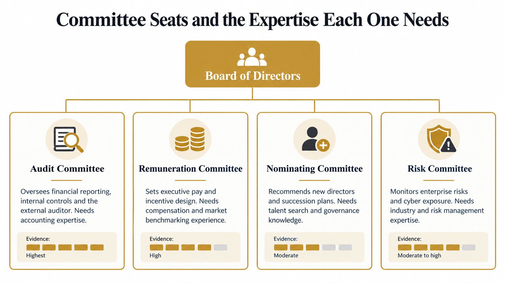 A diagram outlining the key board committees and the specific expertise required for each board seat.