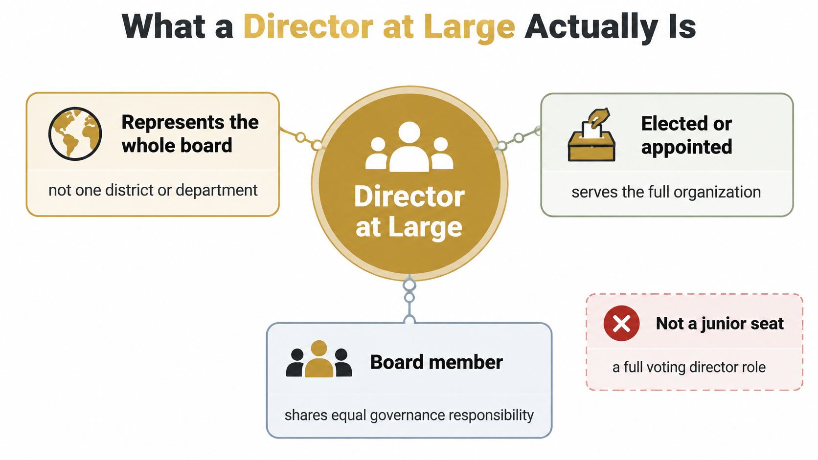 An infographic defining the role of a Director at Large as a full voting board member.