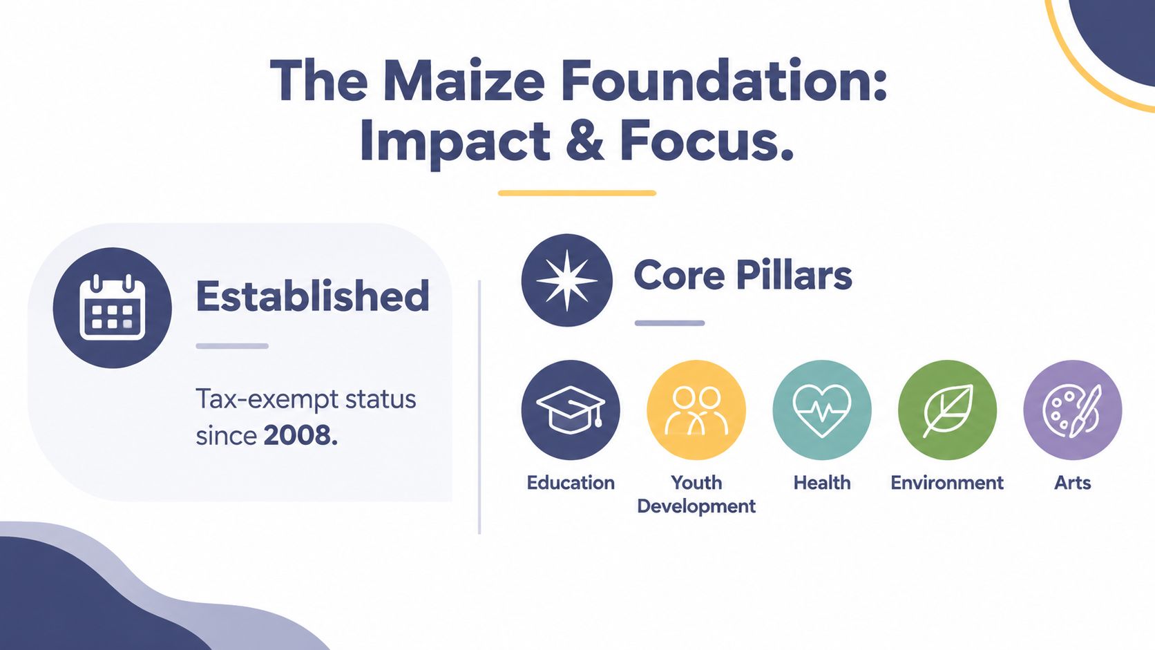 An infographic showing The Maize Foundation established in 2008 with five core pillars of focus.