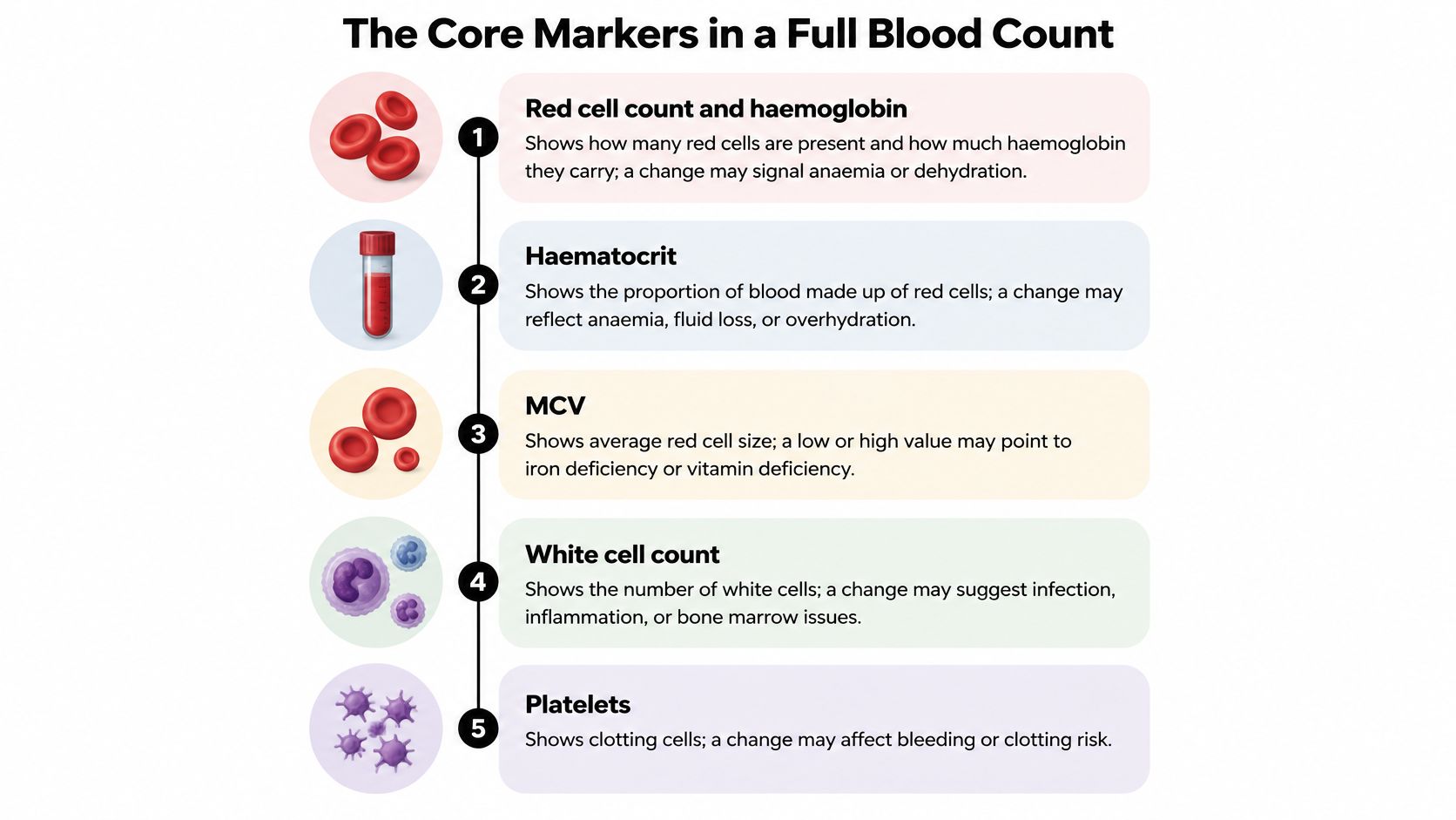 An infographic showing the five core markers measured in a complete blood panel and their functions.