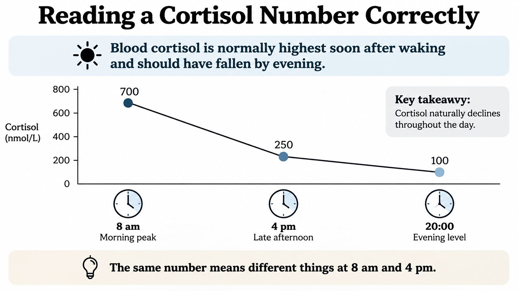 A line graph showing the natural daily decline of blood cortisol levels from morning until evening.