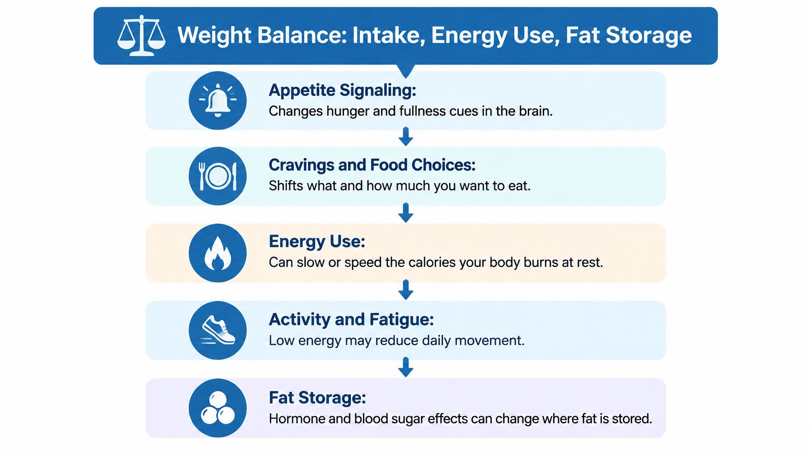 A flowchart detailing factors affecting weight balance including appetite, food cravings, energy use, activity levels, and fat storage.