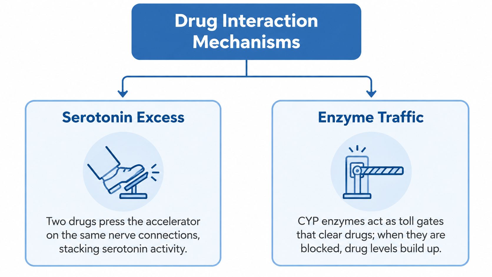 A diagram illustrating drug interaction mechanisms through serotonin excess and enzyme traffic toll gate metaphors.