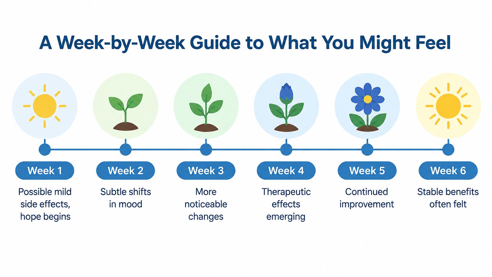 A timeline graphic illustrating the six-week progression of how antidepressant medication effects typically emerge for patients.