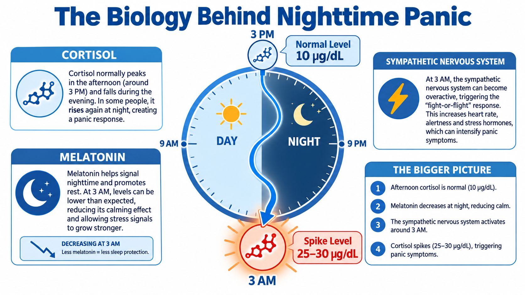 An infographic showing biological causes of nighttime panic including cortisol, melatonin, and the sympathetic nervous system.