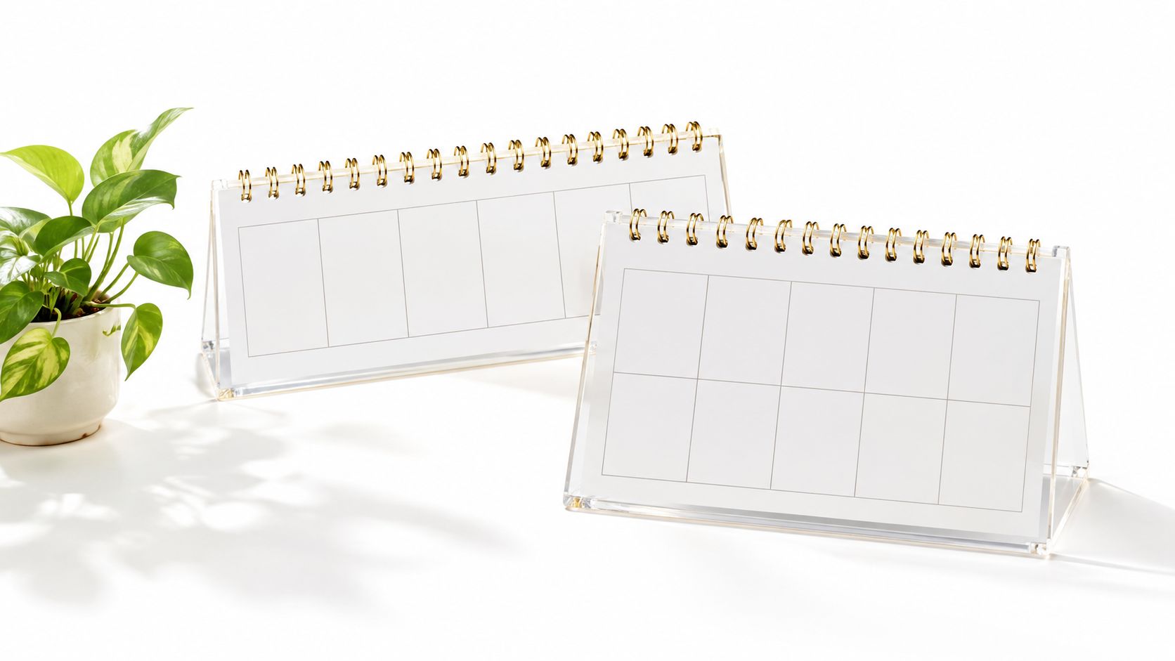 Dois calendários de mesa com suportes de acrílico e anéis dourados posicionados ao lado de uma planta verde.