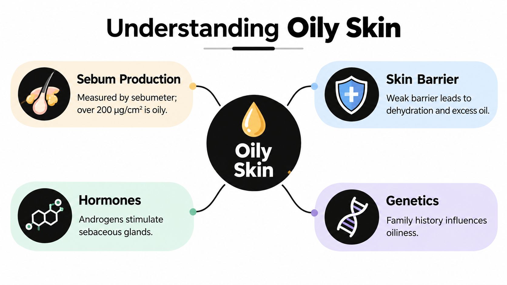 A mind map infographic illustrating four key factors contributing to oily skin: sebum production, hormones, skin barrier, and genetics.