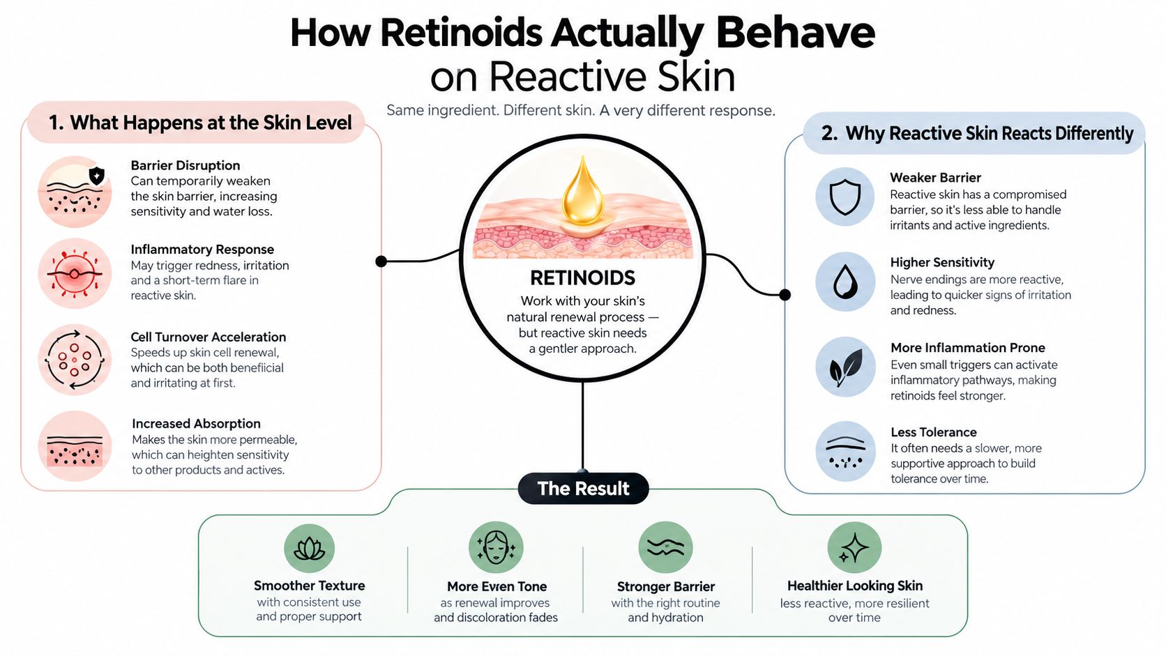 An infographic explaining how retinoids affect reactive skin, detailing skin level changes, sensitivity factors, and benefits.