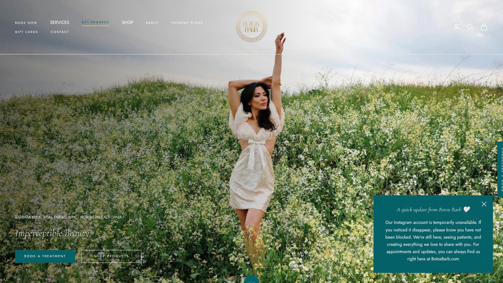 Screenshot from https://barbnp.shop