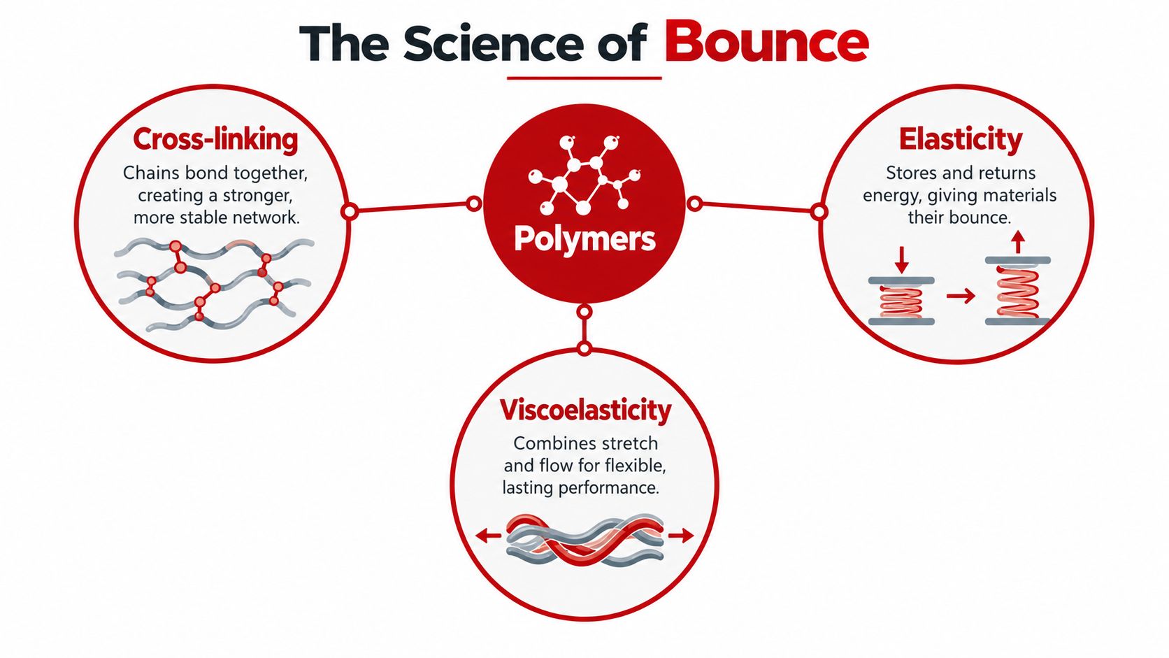An infographic titled The Science of Bounce explaining polymers, cross-linking, elasticity, and viscoelasticity with simple diagrams.