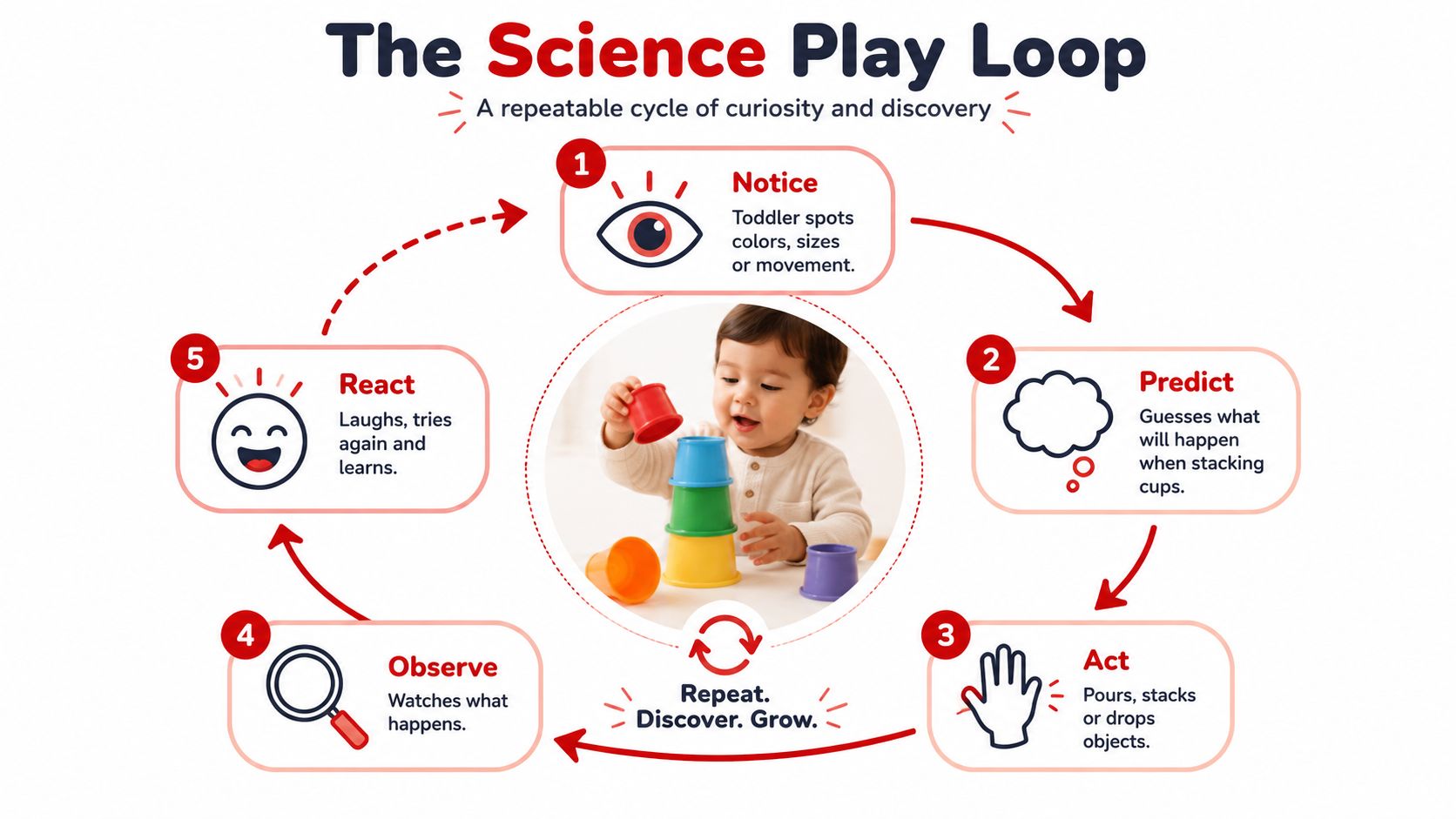 A diagram titled The Science Play Loop showing five steps of child development through interactive play.