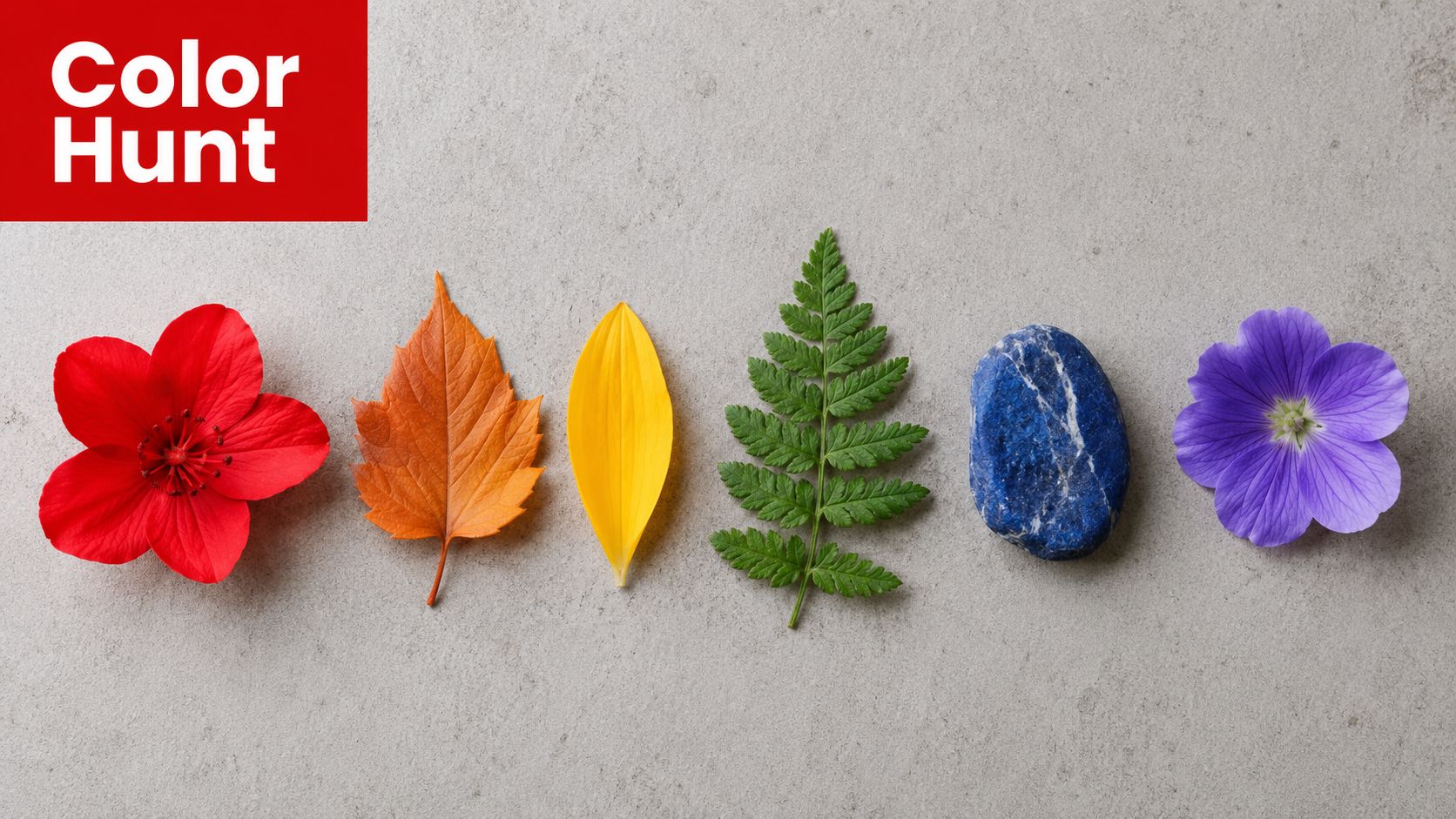 A flat lay of colorful nature items including a red flower, leaves, fern, and blue stone.
