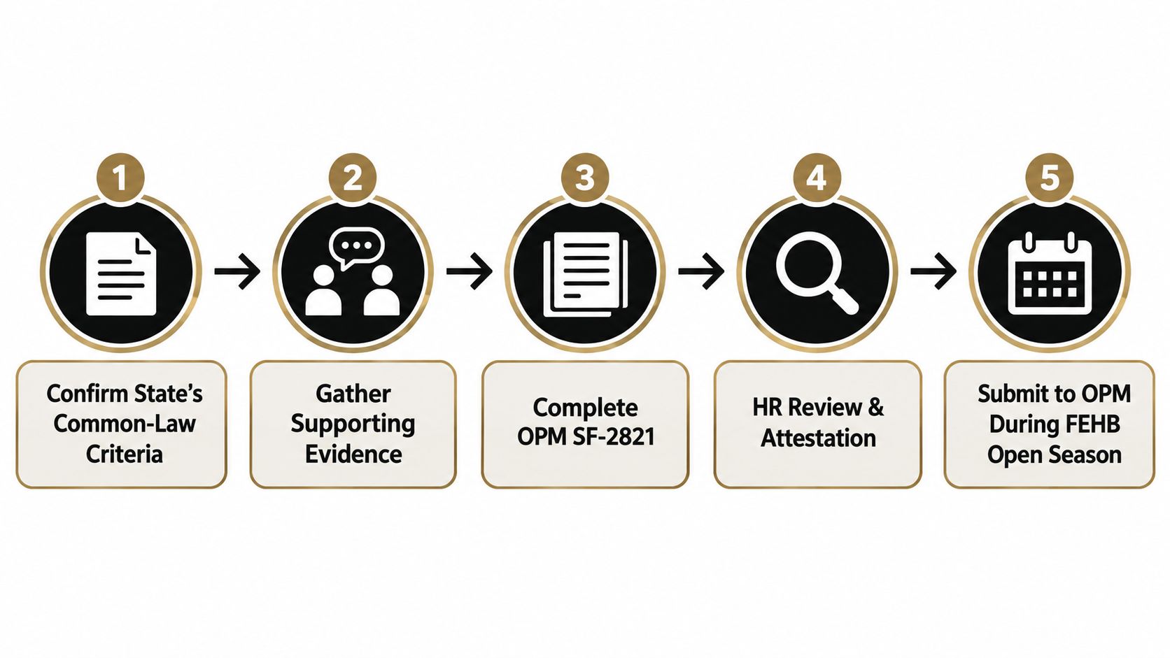 A five-step flowchart explaining the process for federal employees to enroll a domestic partner in health insurance.
