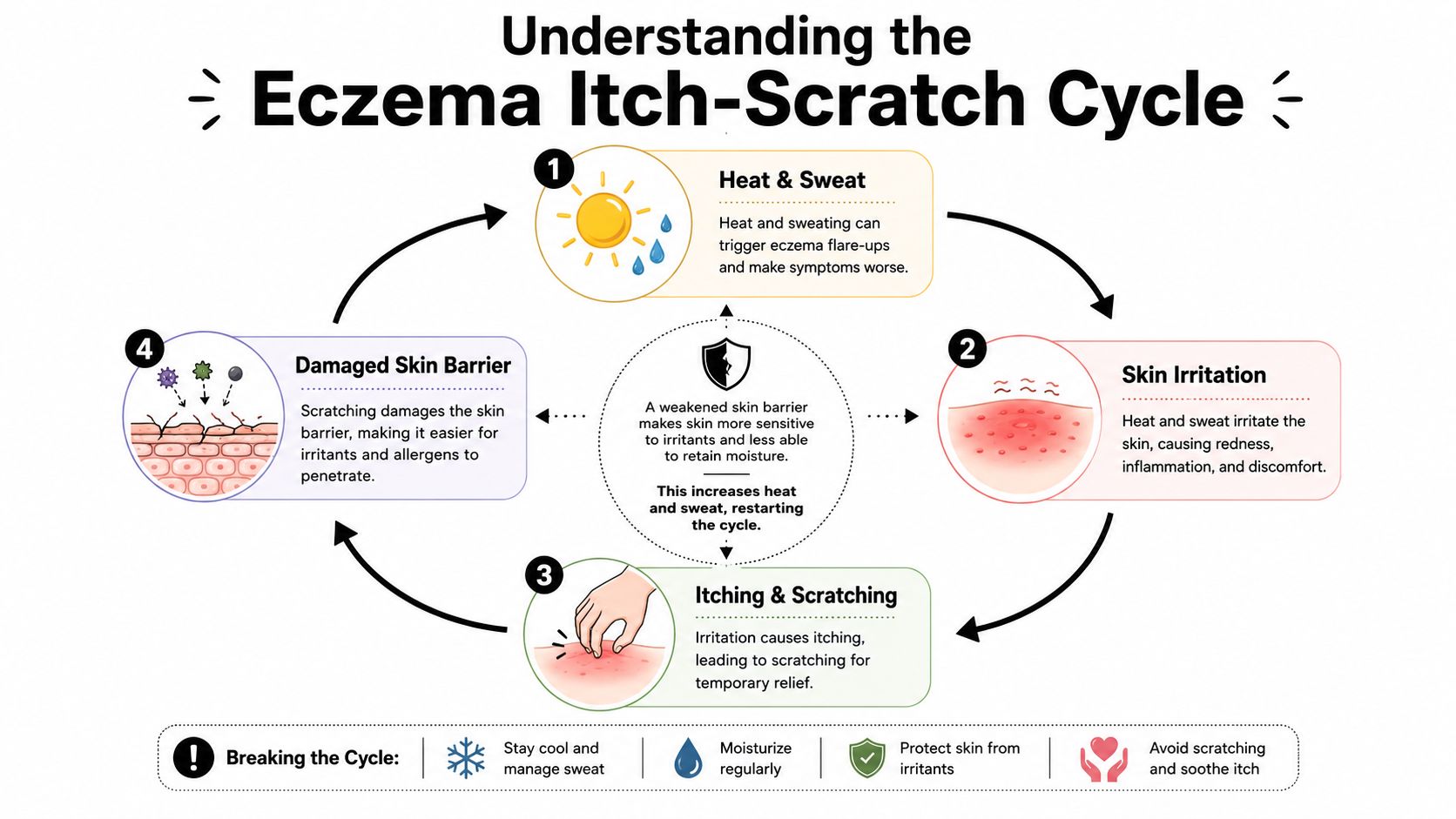 An educational infographic illustrating the four stages of the eczema itch-scratch cycle and how to break it.