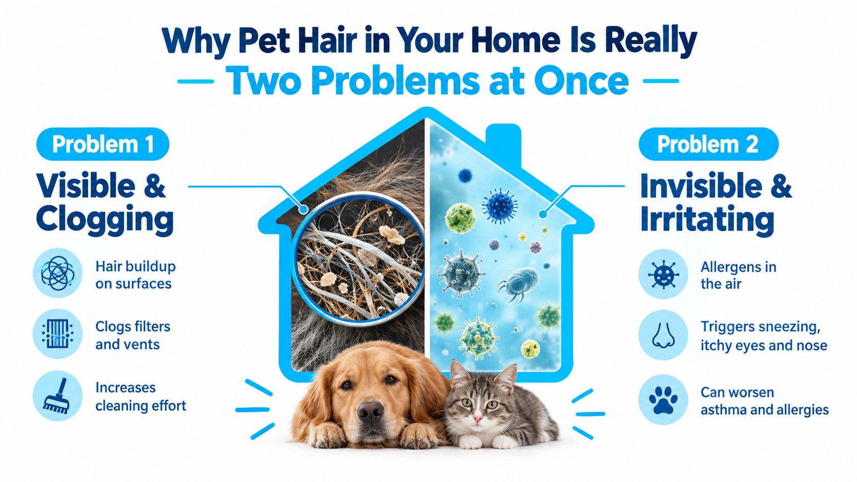 An infographic showing that pet hair causes visible home surface buildup and invisible airborne allergy symptoms.