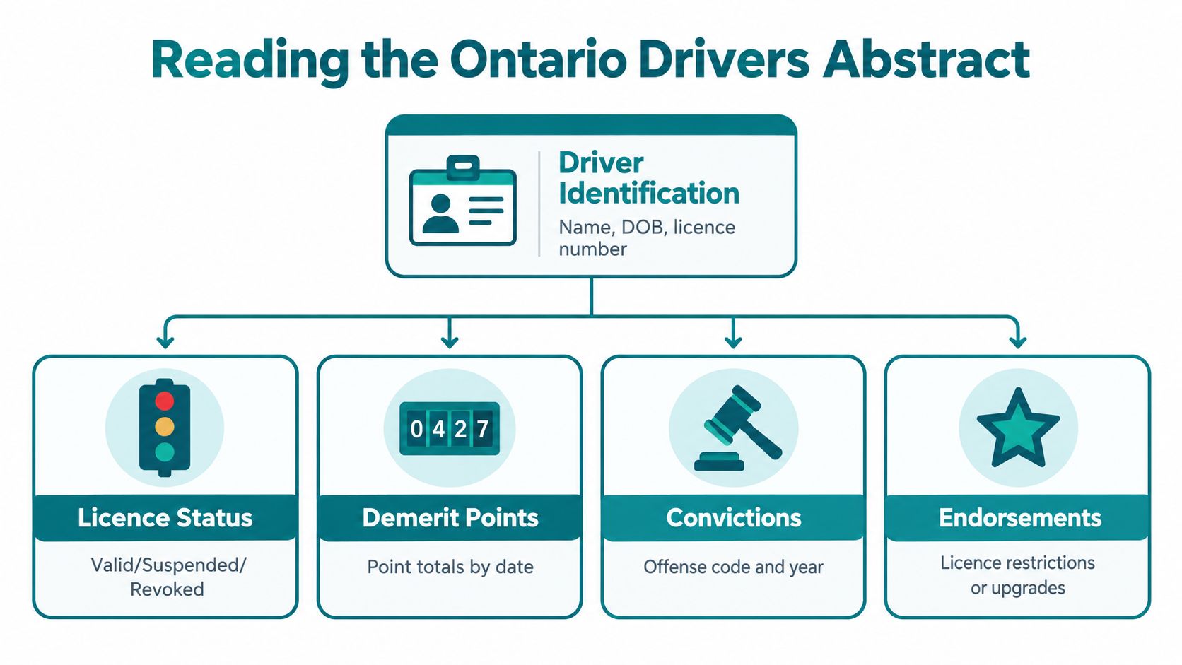 A diagram outlining the key sections of an Ontario driver's abstract, including identification, status, points, and convictions.