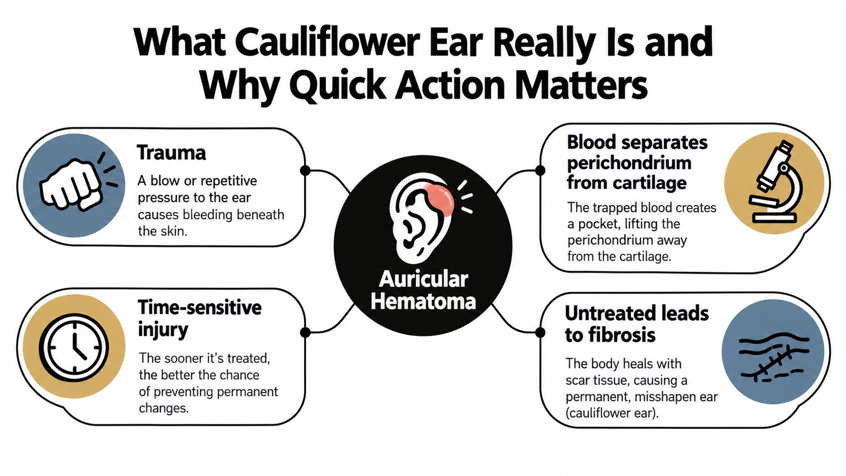 An infographic explaining how cauliflower ear develops from injury, hematoma formation, and the importance of prompt medical treatment.