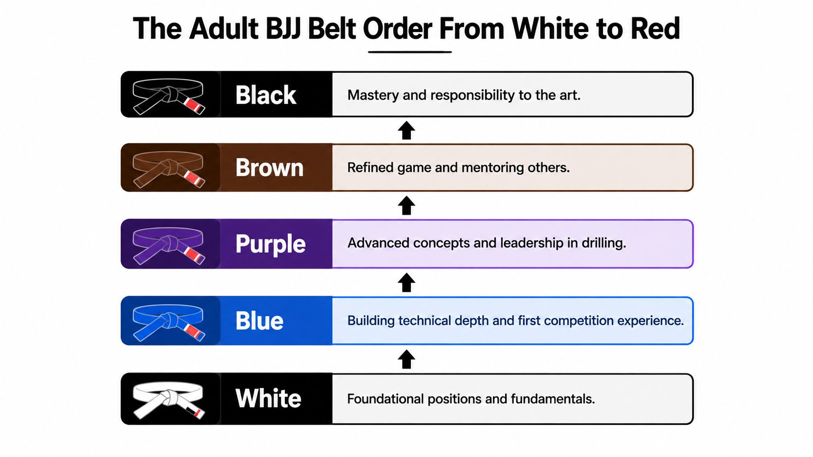 A chart showing the five main adult Brazilian Jiu-Jitsu belt ranks ordered from white to black.