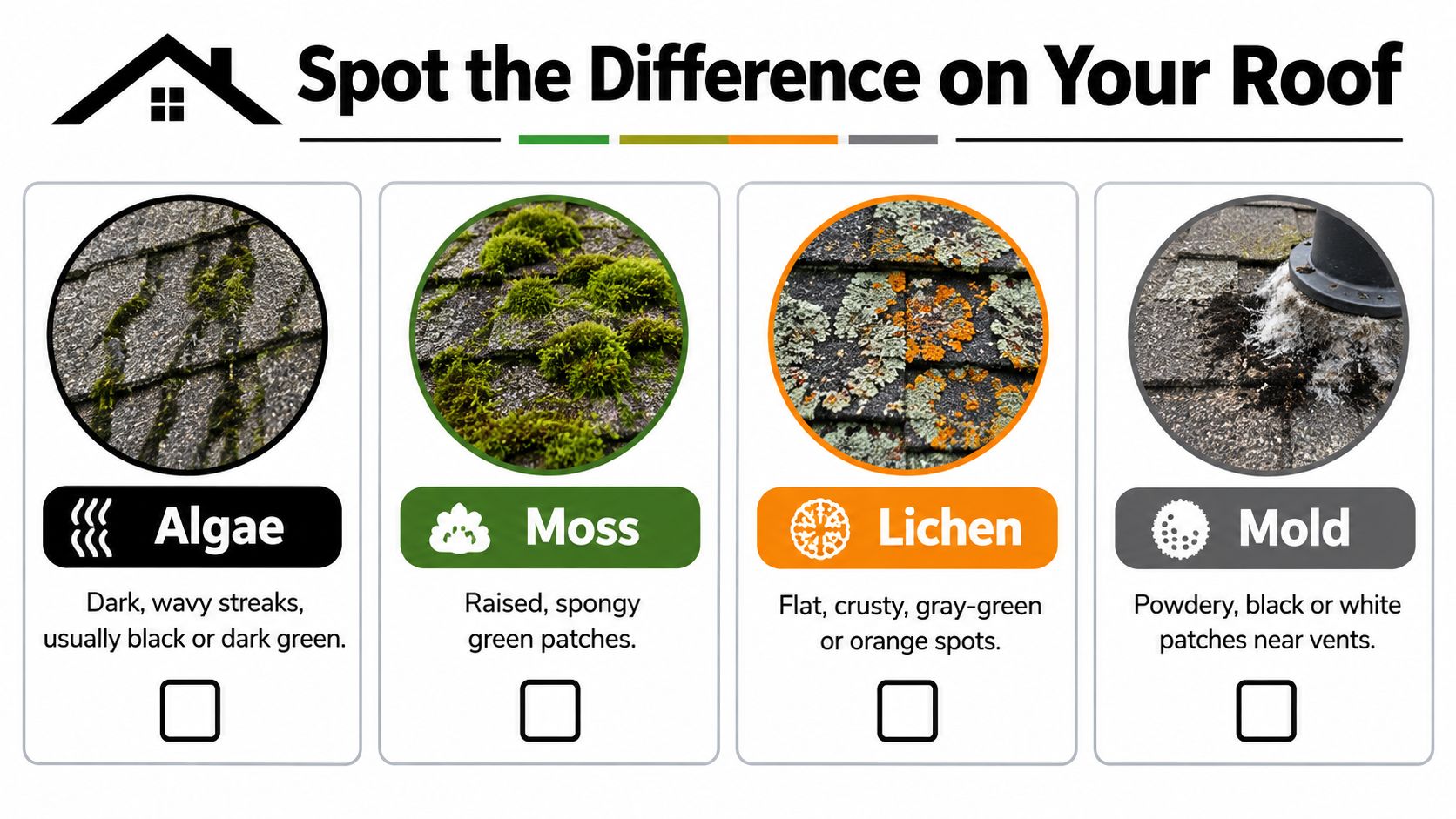 An infographic showing four common types of roof growths: algae, moss, lichen, and mold on shingles.