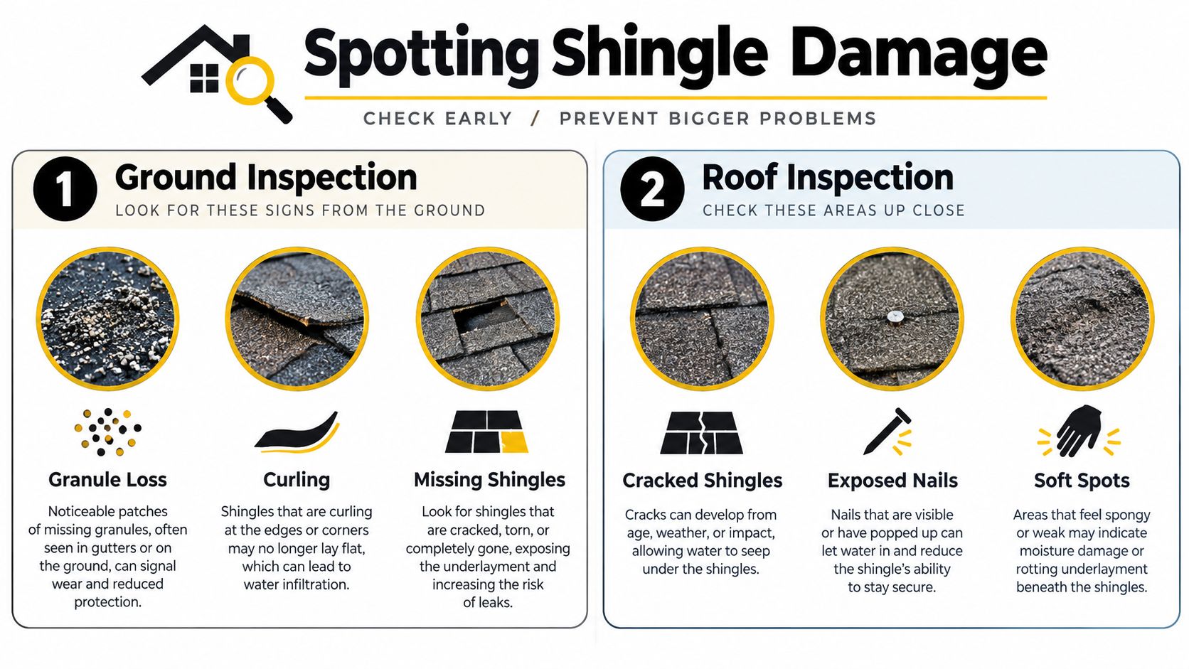 An infographic titled Spotting Shingle Damage showing six common signs of roof degradation for home inspection.