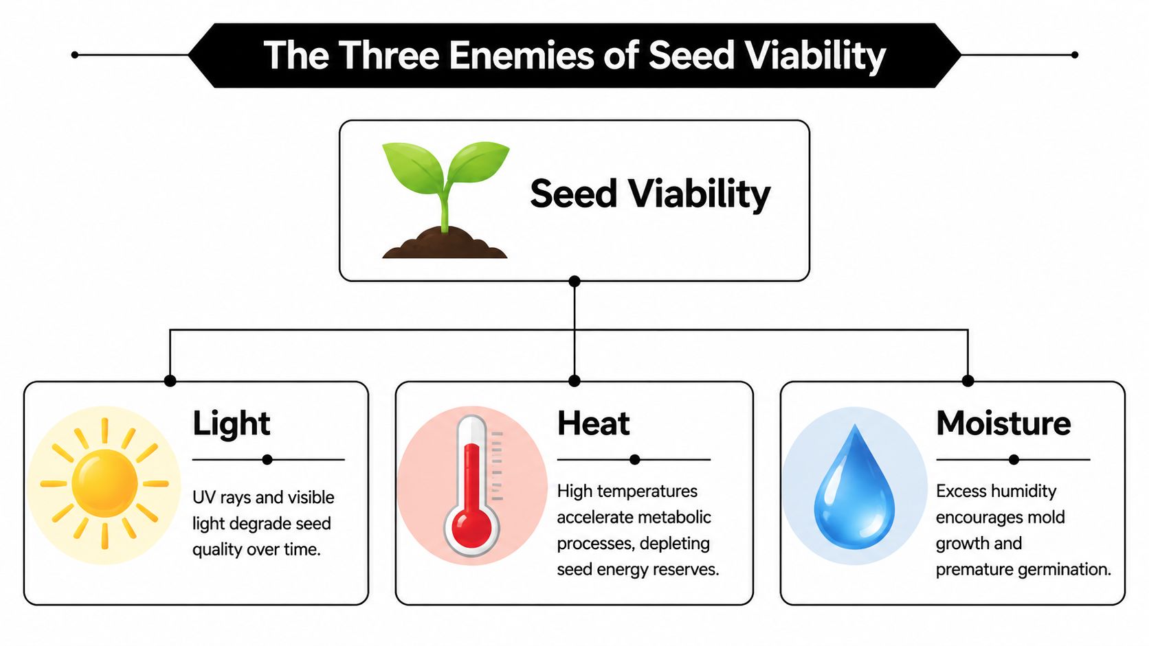 An infographic showing the three primary enemies of seed viability: excessive light, heat, and moisture.