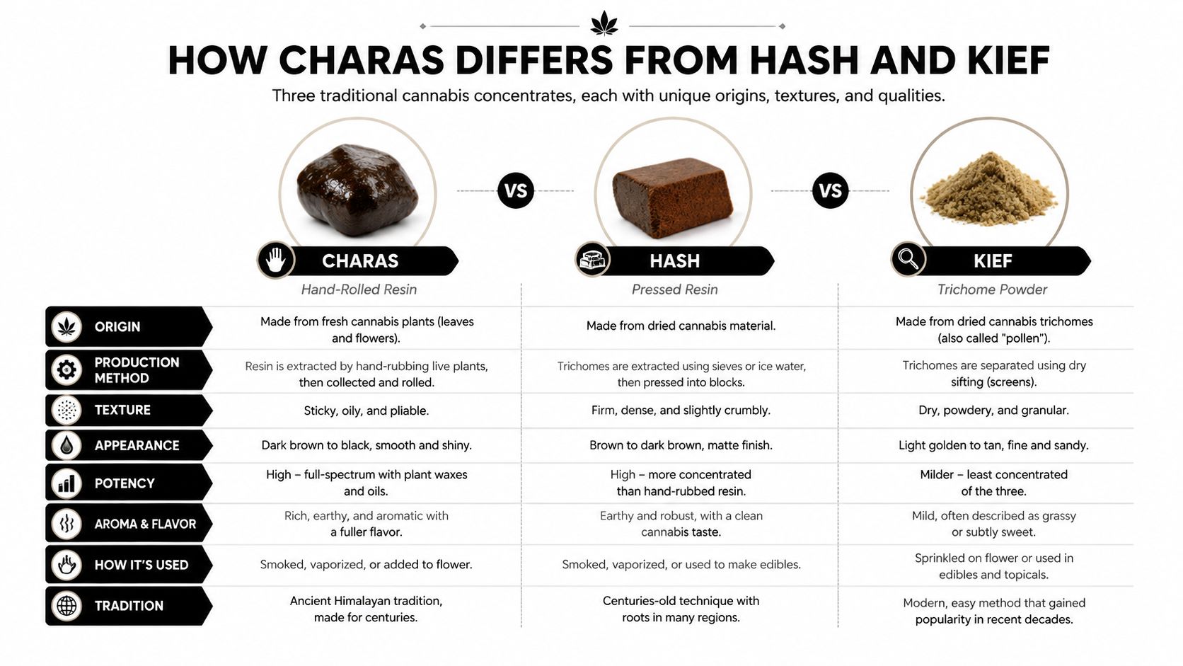 A comparison chart showing the differences between charas, hash, and kief cannabis concentrates including origins and textures.