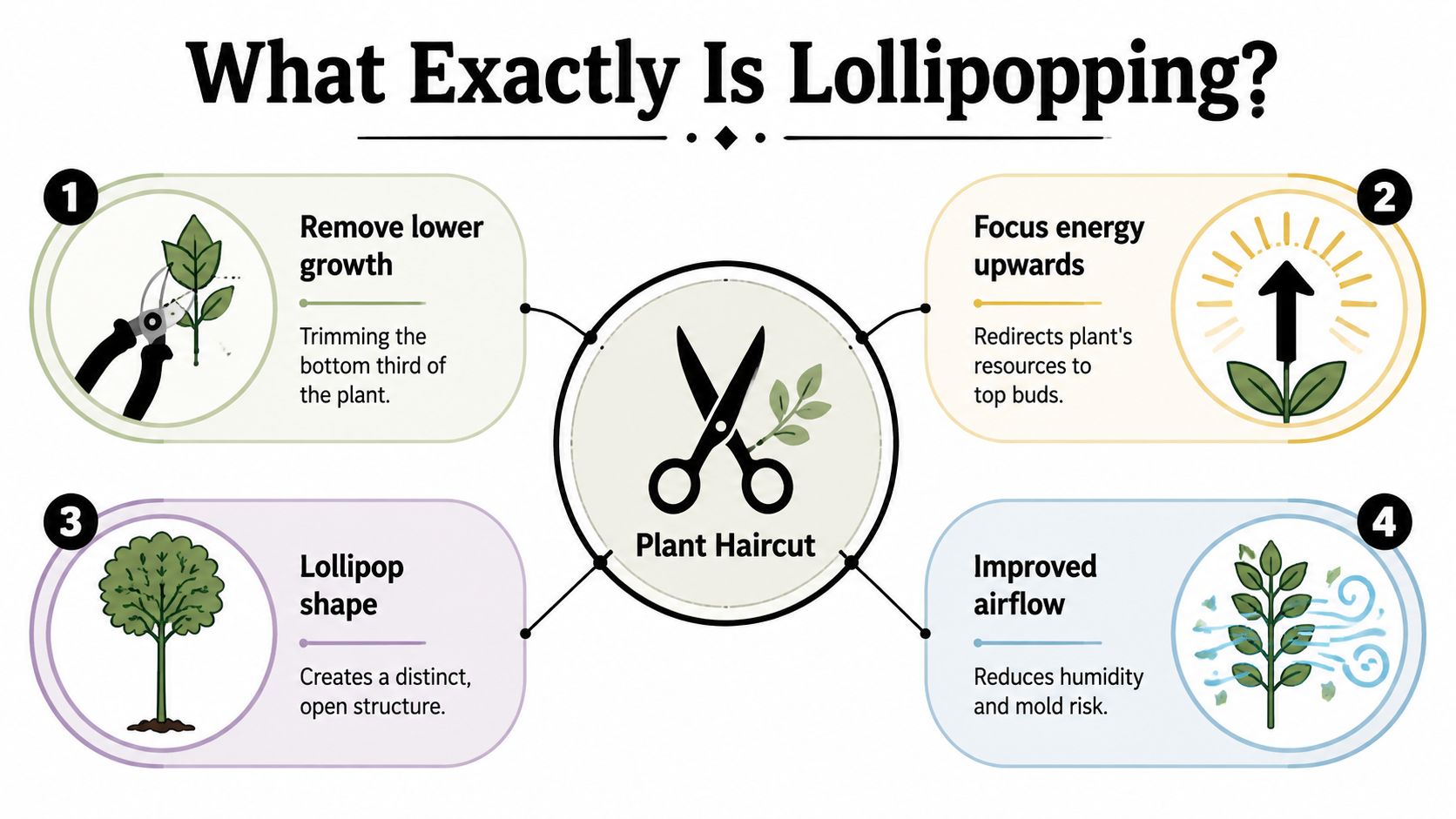 An infographic explaining lollipopping, a plant trimming technique that promotes upward growth, better airflow, and distinct shaping.