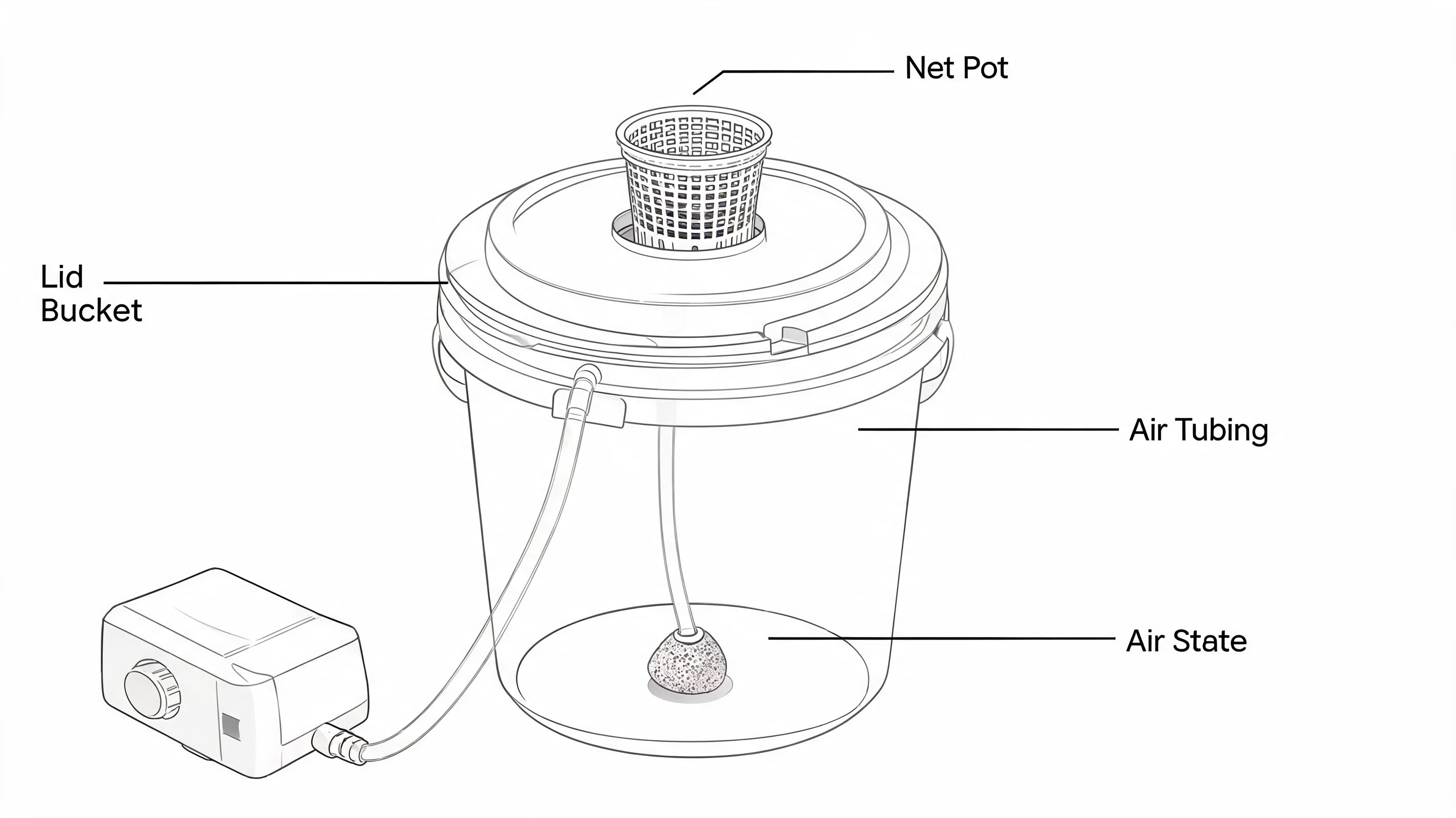 A diagram of a deep water culture hydroponic system featuring a bucket, net pot, and air pump.