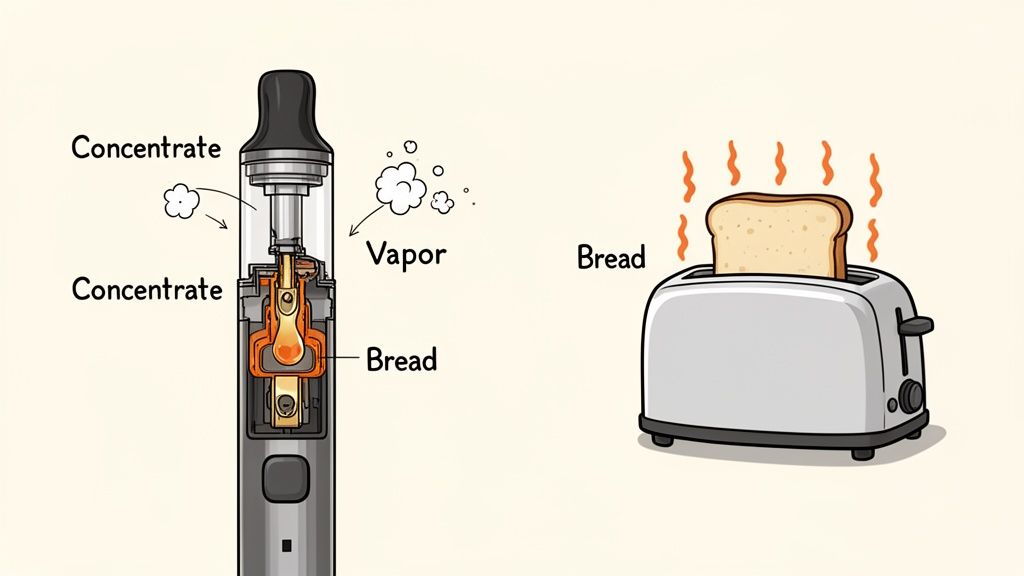 A diagram comparing a vaporizer device for cannabis concentrate with a standard household bread toaster.
