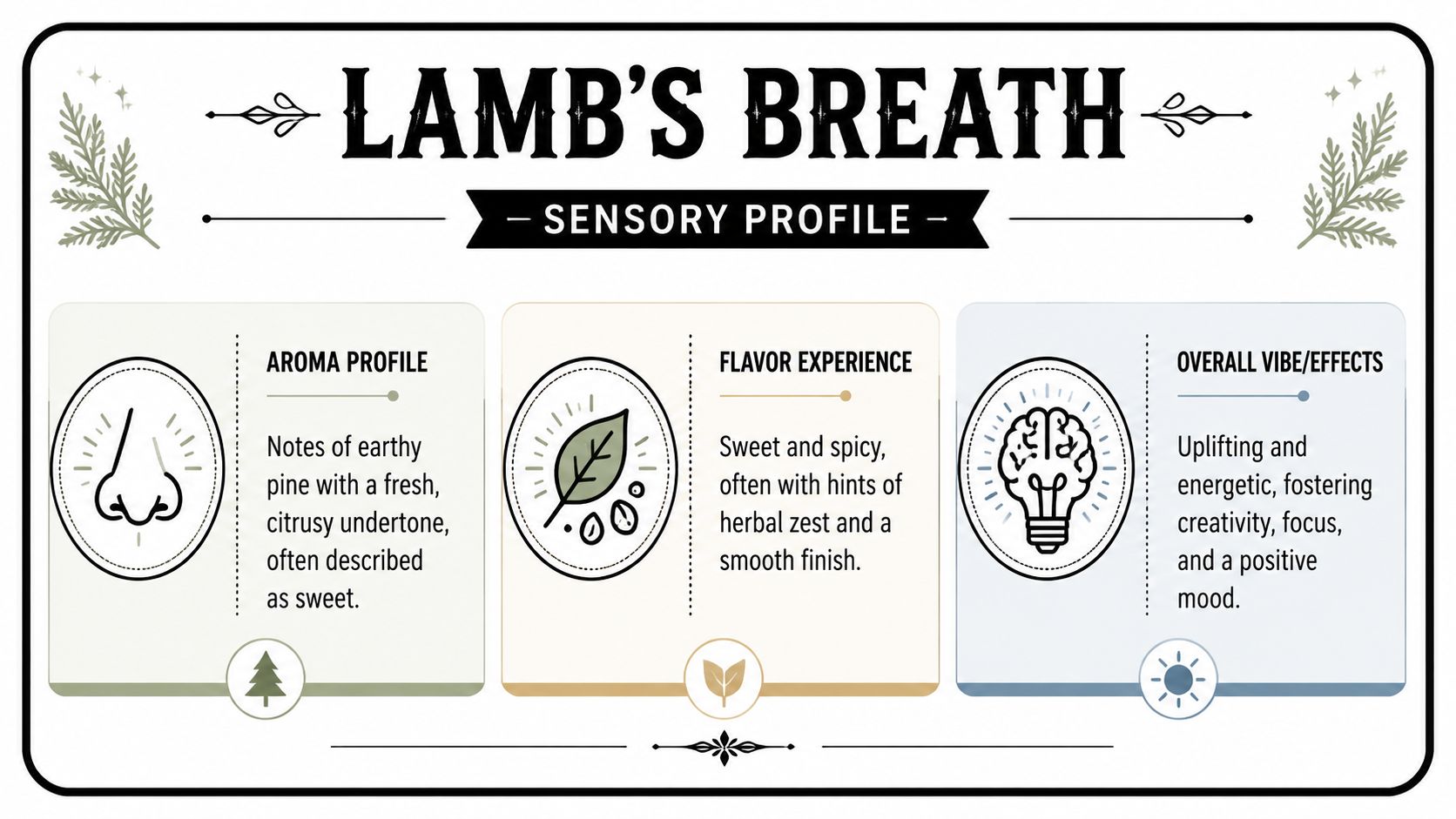 A sensory profile infographic for the Lamb's Breath strain describing its aroma, flavor, and overall effects.