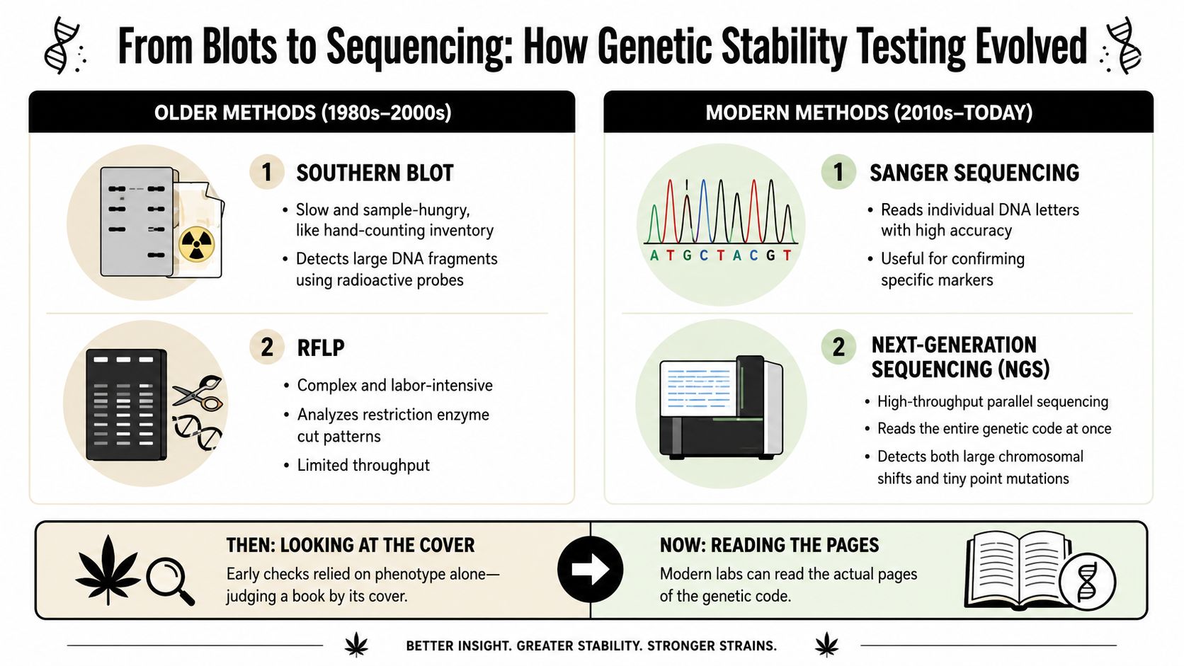 An infographic comparing older laboratory methods and modern genetic sequencing techniques for testing plant genetic stability.