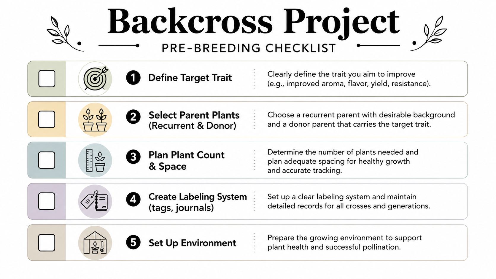 A five-step checklist infographic for conducting a backcross breeding project in agriculture and plant cultivation.